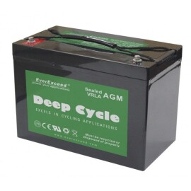 Аккумулятор EverExceed DP-12100