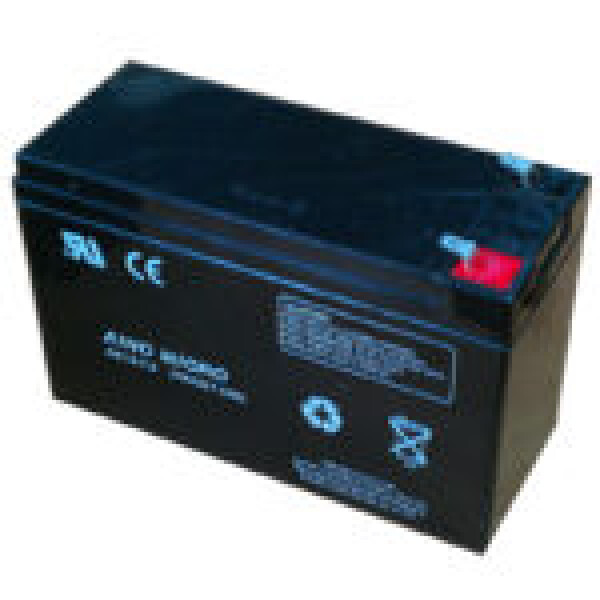 фотография Аккумулятор EverExceed AM 12-9.5