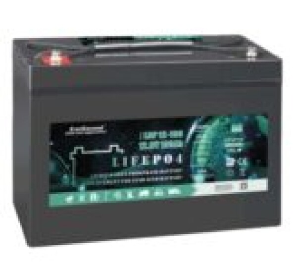 фотография LiFePO4 EverExceed LDP 12-100 (12.8V-100AH) BLUETOOTH литиевый аккумулятор